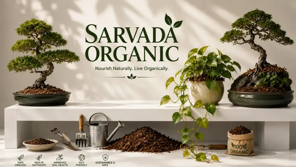 Healthy indoor plants growing with natural fertilizer